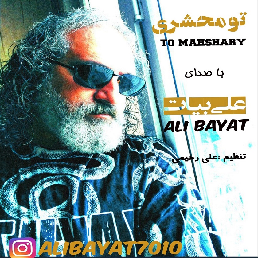 علی بیات - تو محشری